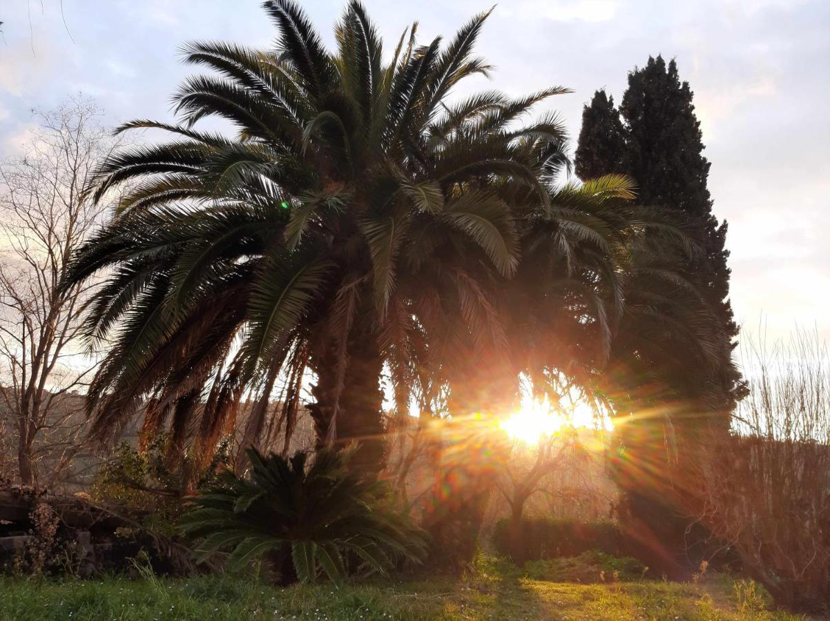 La Meriggia Senigallia Agriturismo アンコーナ エクステリア 写真