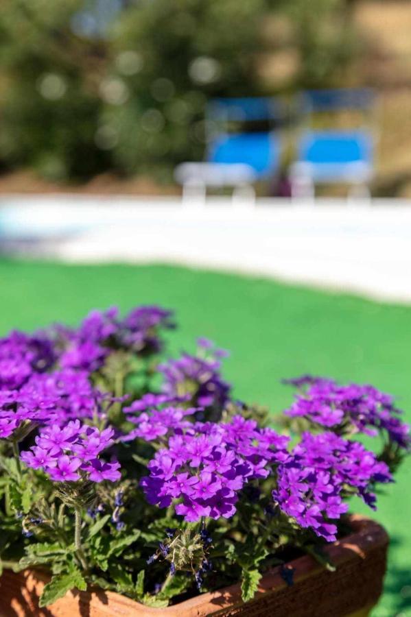 La Meriggia Senigallia Agriturismo アンコーナ エクステリア 写真